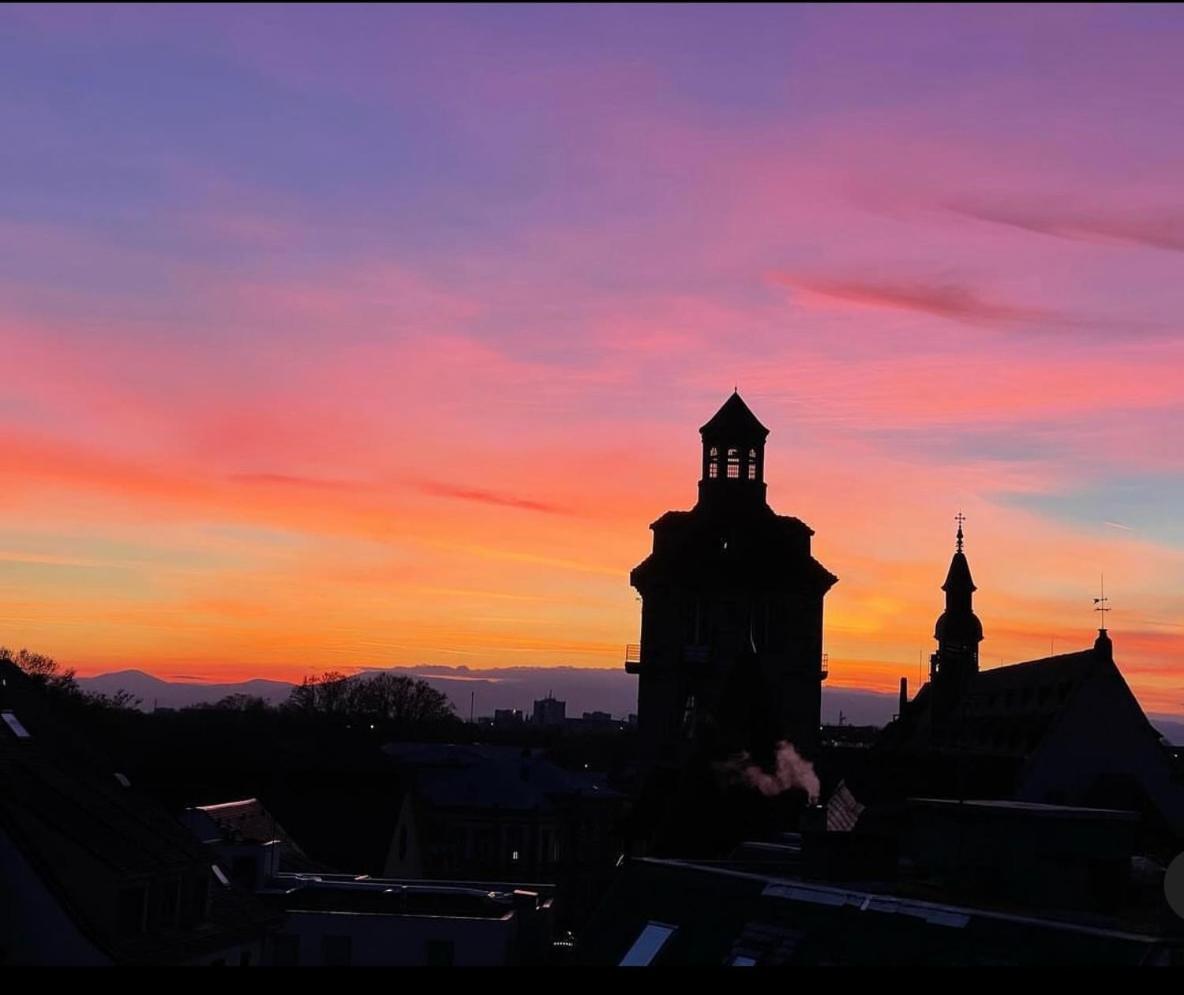 La Rose Lejlighed Strasbourg Eksteriør billede